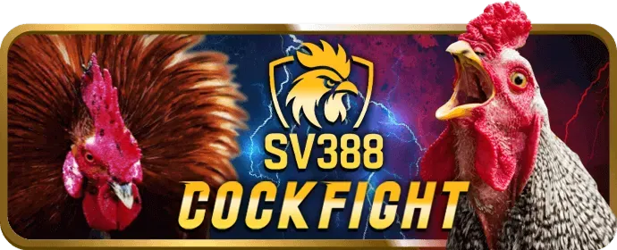 Cá cược thể thao tại 888win Nổ Hũ